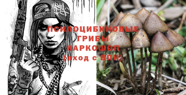первитин Каменка