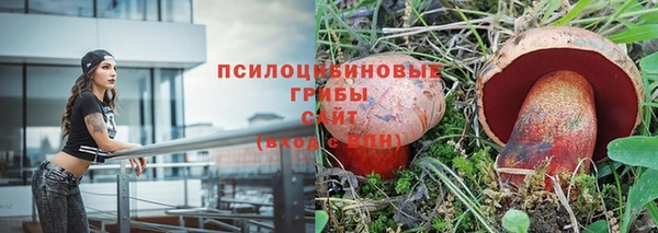 ALPHA PVP Каменск-Шахтинский