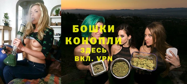 первитин Каменка