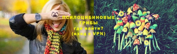 первитин Каменка