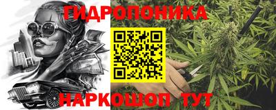 a pvp Рязань