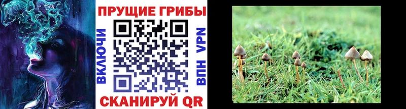 Галлюциногенные грибы Magic Shrooms  Сибай 